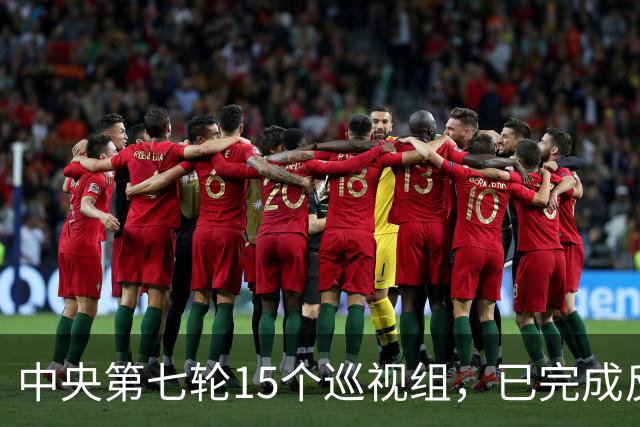 中央第七轮15个巡视组，已完成反馈，有些问题直接转中纪委处理！