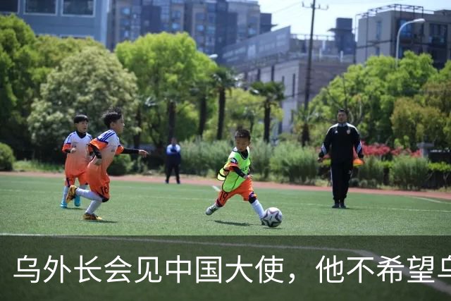 乌外长会见中国大使，他不希望乌克兰的结局，被中美俄三方安排