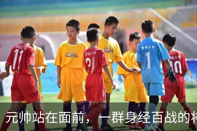 元帅站在面前，一群身经百战的将领没人敬礼，刘伯承沉默转身