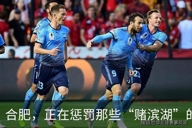 合肥，正在惩罚那些“赌滨湖”的人