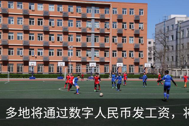 多地将通过数字人民币发工资，将可打击使用数字人民币的犯罪