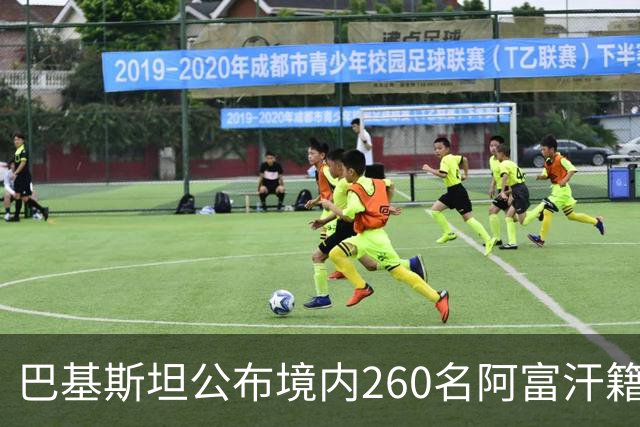 巴基斯坦公布境内260名阿富汗籍被击毙武装人员身份：阿富汗塔利班的庇护争议与巴阿安全博弈