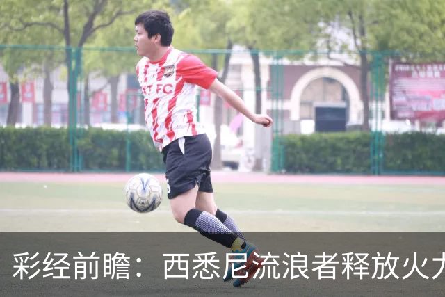 彩经前瞻：西悉尼流浪者释放火力，麦克阿瑟FC能否守住主场节奏