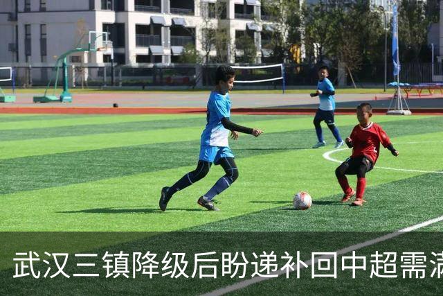 武汉三镇降级后盼递补回中超需满足三条件