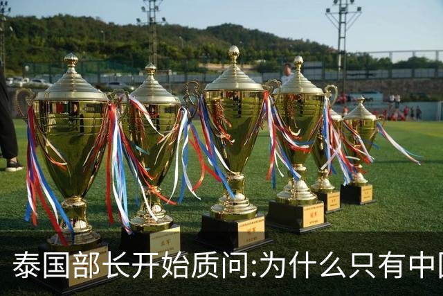 泰国部长开始质问:为什么只有中国游客出事？国人该情何以堪...