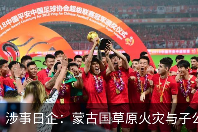 涉事日企：蒙古国草原火灾与子公司高管活动有关