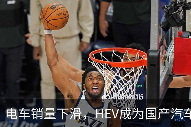 电车销量下滑，HEV成为国产汽车增长发动机，继续挑战丰田