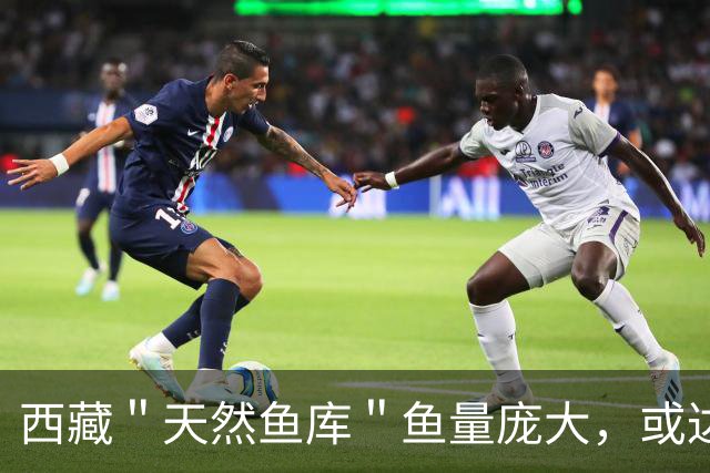 西藏＂天然鱼库＂鱼量庞大，或达2亿公斤？为何人们不进行打捞？